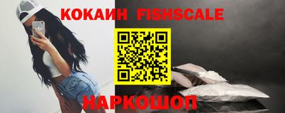 спиды Камышлов