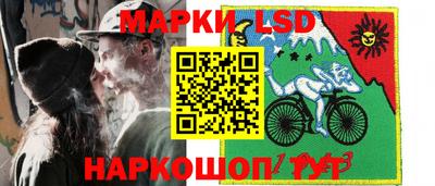 спиды Камышлов