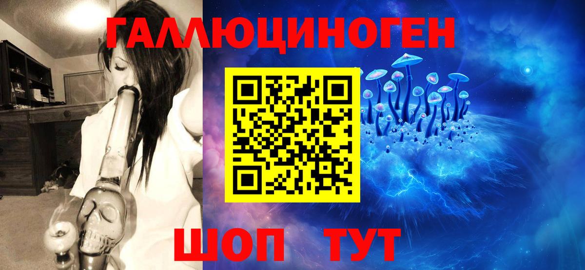 Псилоцибиновые грибы Psilocybe Мирный