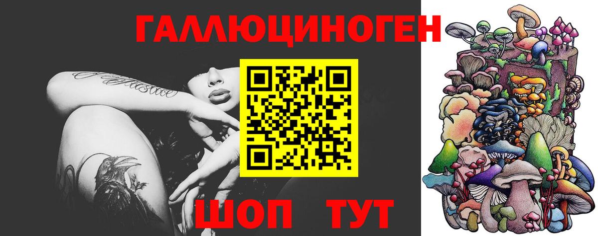 Галлюциногенные грибы GOLDEN TEACHER  Вход с VPN  Мирный  Псилоцибиновые грибы прущие грибы 