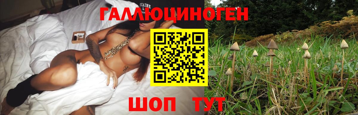 Псилоцибиновые грибы Cubensis  Мирный 