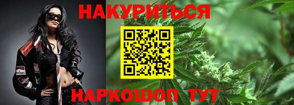 Конопля AK-47  Каннабис сатива  Мирный 